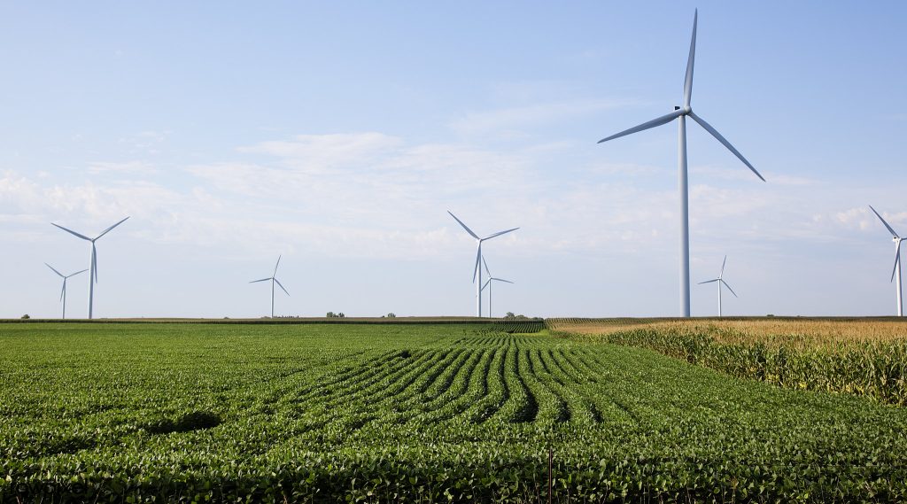 Missouri soybean farm with windmills on horizon. The image is released free of copyrights under Creative Commons CC0.